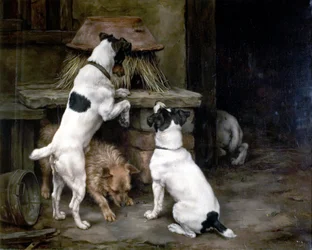 Corpos Ocupados e Abelhas Ocupadas, 1892